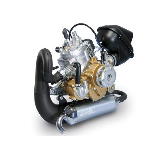 Silnik Polini Thor260, PLUG-3,